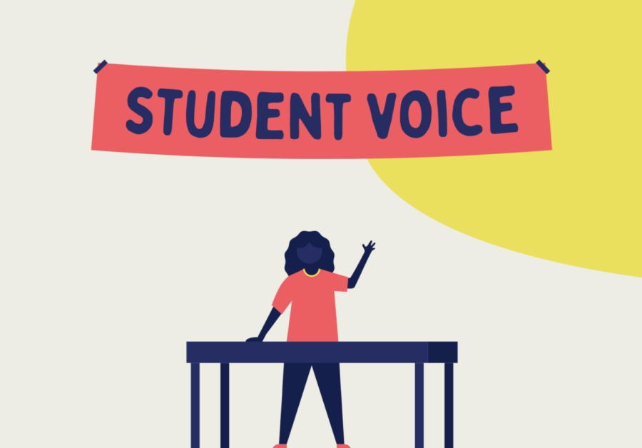 The Student in Student Voice