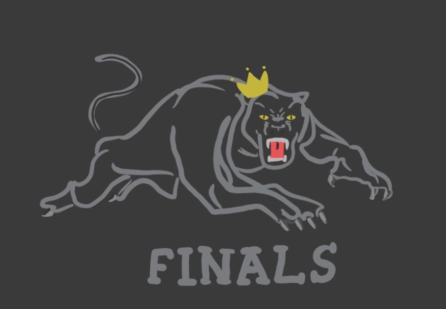 Panthers Finals