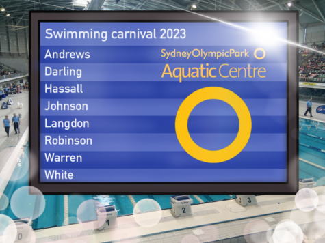 Making a Splash! The WCC Swimming Carnival