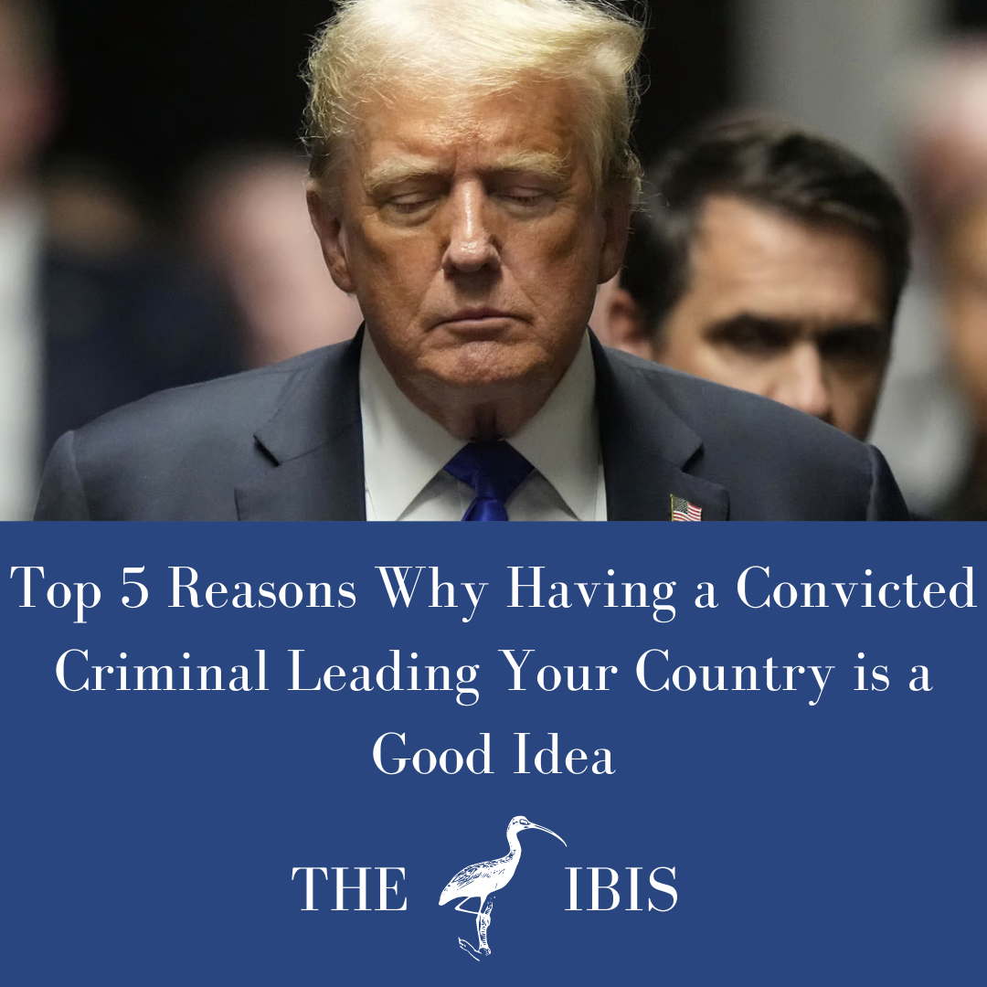 5 Reasons Why Having a Convicted Criminal Leading Your Country is a Good Idea