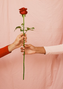 Photo Credit: Unsplash