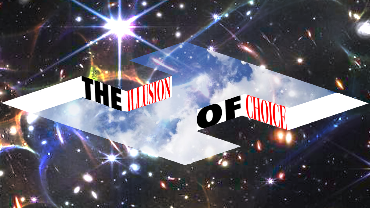 By Lauryn D (Year 12)