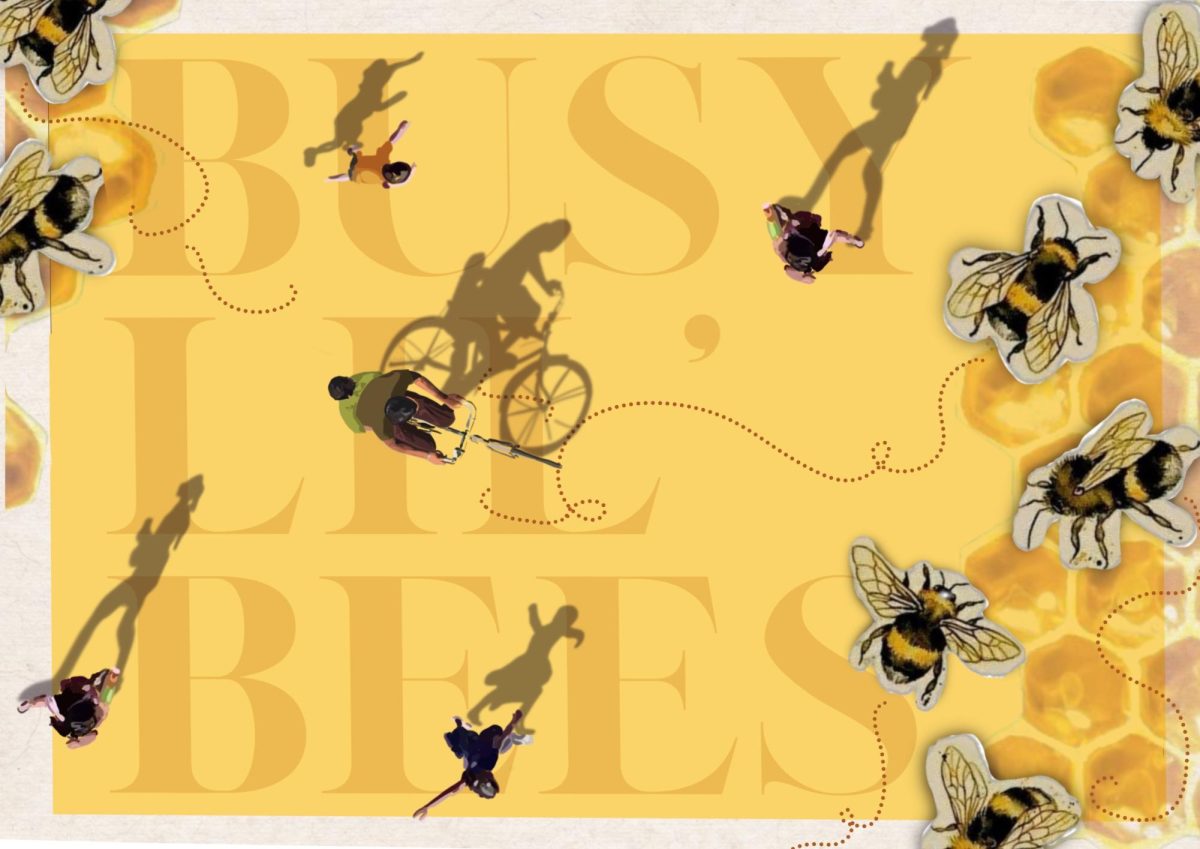 Design by Alice H (Year 11) 