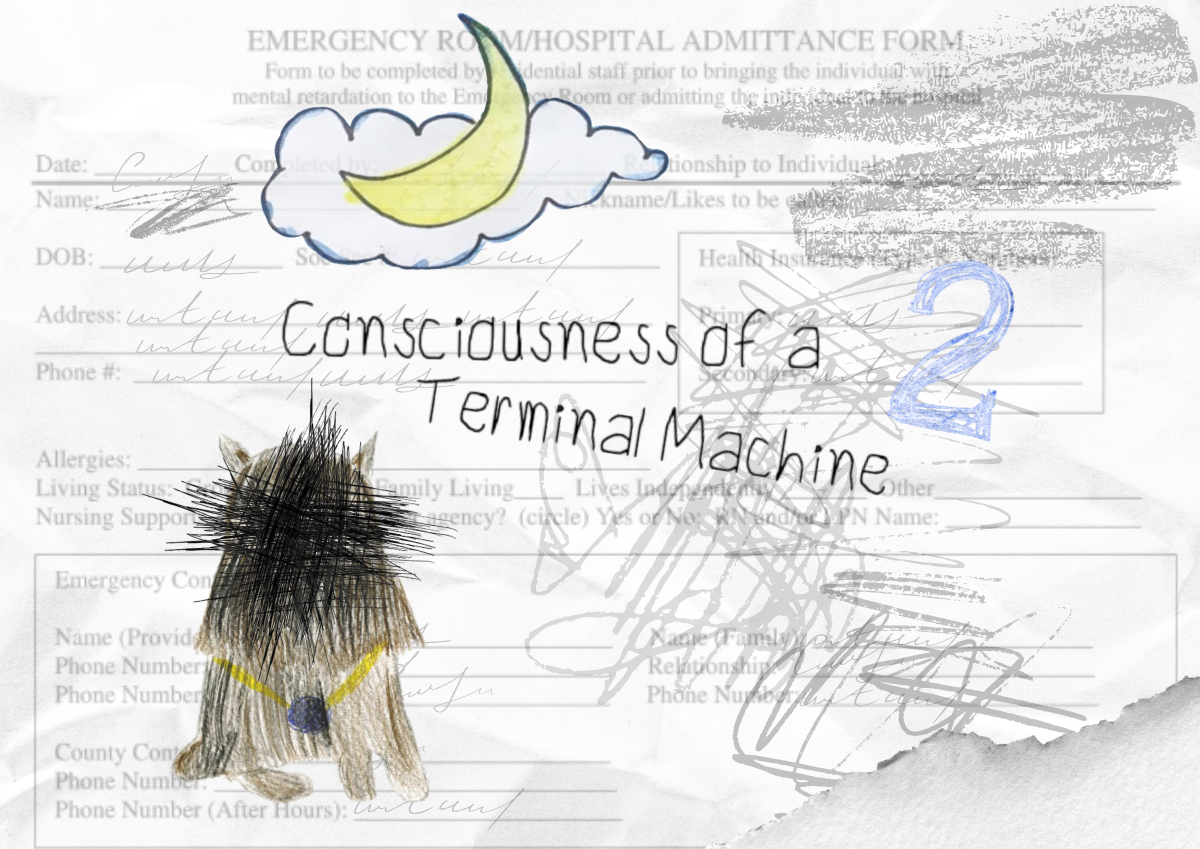 Consciousness of a Terminal Machine (Part 2)